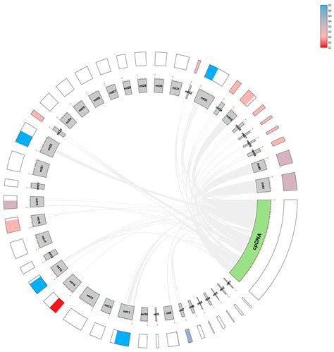 Mitochondrial Genome Characteristics Reveal Evolution of Danxiaorchis ...