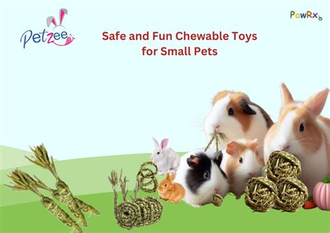 Petzee - Hay, Timothy Hay, Alfalfa Hay, Pet Meal Store, Pet Store, Pet ...