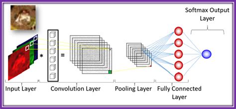 Deep Learning Algorithms 的图像结果