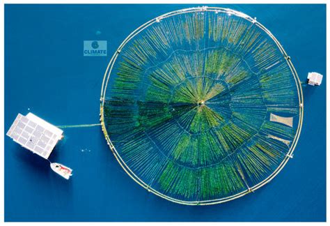 Numerical Study on Hydroelastic Responses of Submersible High-Density ...