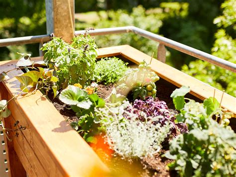 Planting In Raised Beds