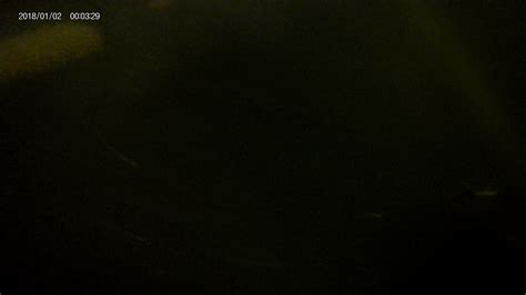 Image result for Build Detection Model