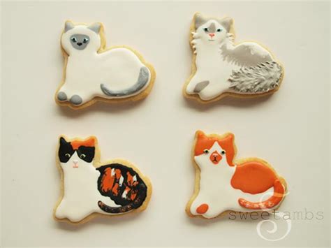 Image result for Cat Chasing Cookies