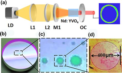 Image result for Vortex Laser Alignment Target