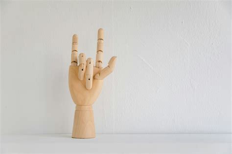 Image result for Sign Language Us