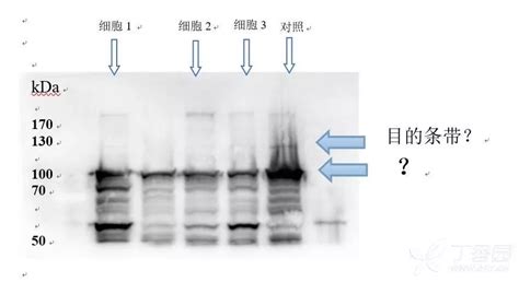 高中数学解析几何：92条常见二级结论，先学思维再做题！附证明 - 知乎