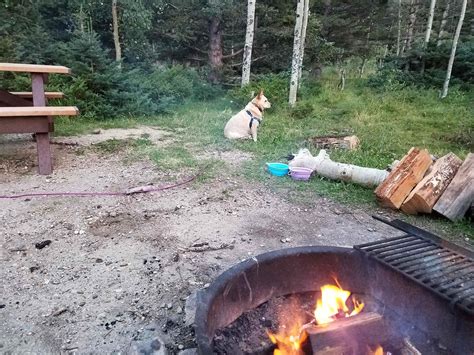 Hopewell Lake Campground in Carson National Forest, New Mexico: Reviews ...