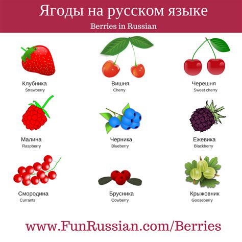 Название фруктов и ягод на английском: Названия фруктов и ягод на ...