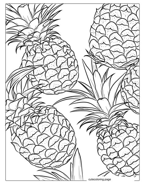 Pineapple Coloring Pages(20+ free printable coloring pages) | Cute ...