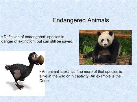 Endangered Meaning In Urdu With Example