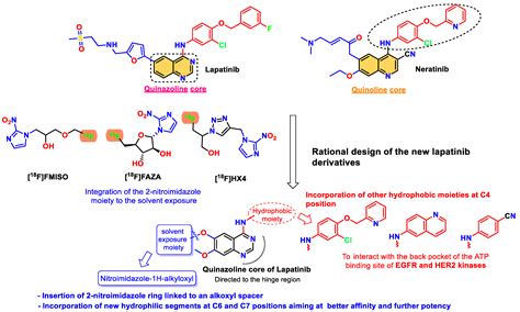 Design, Synthesis, Biological Evaluation, and Molecular Dynamics ...