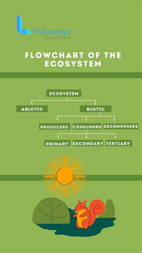 Ecosystem Flow Chart 的图像结果