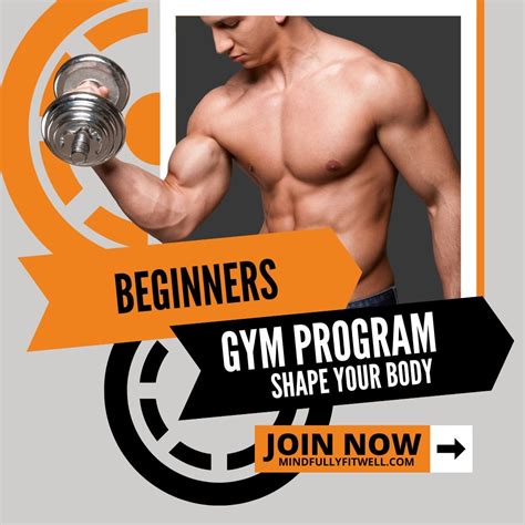 Gymnastic Rings Workout Program: Build Strength and Flexibility Like ...