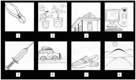 Image result for Struct in Programming