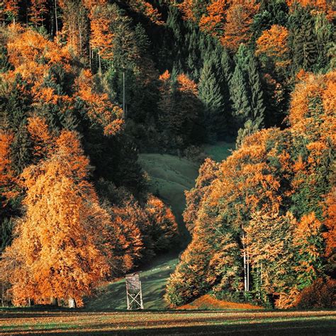 Temperate Deciduous Forest Climate
