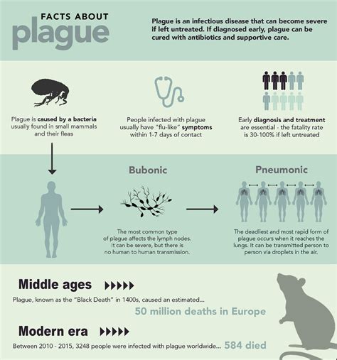 How Does The Writer Describe The Bubonic Plague
