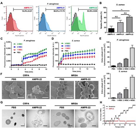 A Novel Peptide Derived from the Transmembrane Domain of Romo1 Is a ...