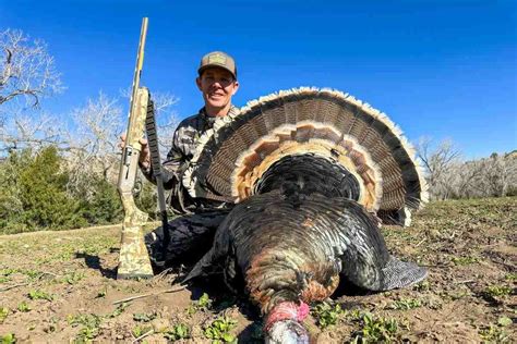 Turkey Hunting Tips 的图像结果