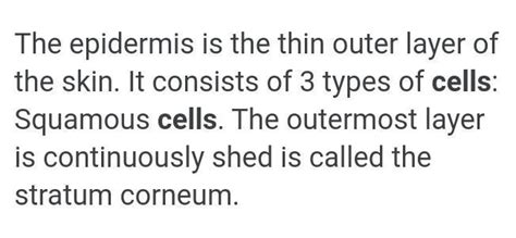 thin and f thin and flat epithelial cells covering the body - Brainly.in