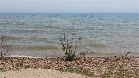 Negwegon State Park Camping | The Dyrt