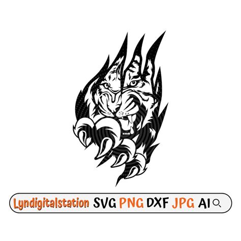 Image result for Tiger for Scratch Coding