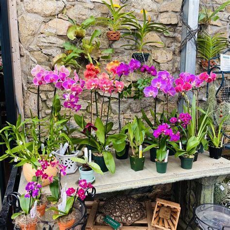 This Week at Gardner’s – Gardner's Landscape Nursery