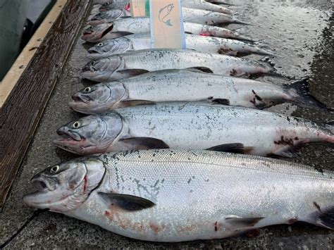 TENGU CHARTERS - All You Need to Know BEFORE You Go 2026 (with Photos ...