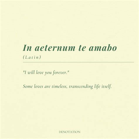 Latin phrase. in 2025 | Latin love quotes, Beautiful latin words, Latin ...