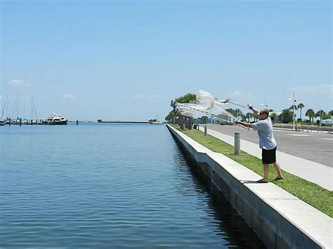 Image result for Cast Net Help