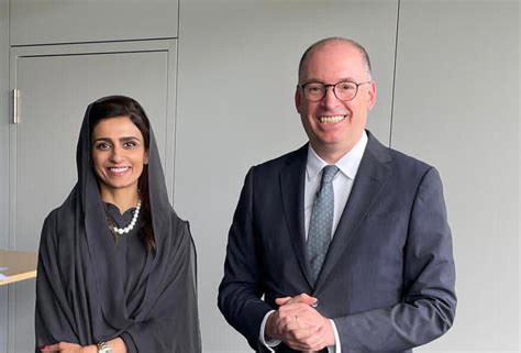 At FATF plenary, Pakistan hopes to exit grey list; Ministers urge media ...