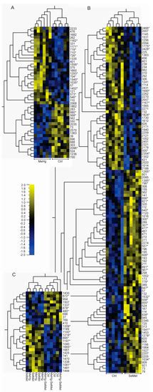 Methylmercury Induced Neurotoxicity and the Influence of Selenium in ...
