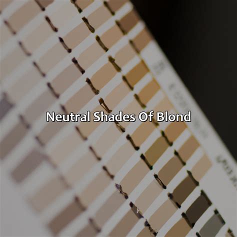 Different Shades Of Blond - colorscombo.com
