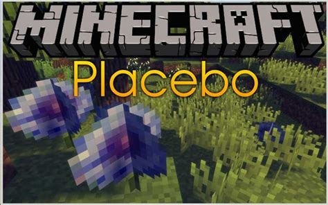 Image result for Placebo Mod Minecraft