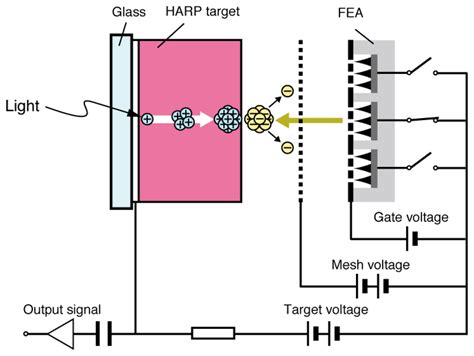 Development of an Amorphous Selenium-Based Photodetector Driven by a ...