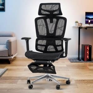 Drogo Ergonomic Office Chair for Work from Home Computer Chair 4D ...