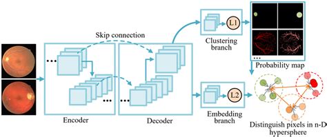 Discrimination Learning 的图像结果
