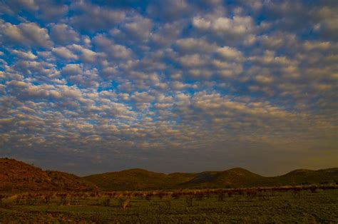 Beauty of Africa 的图像结果