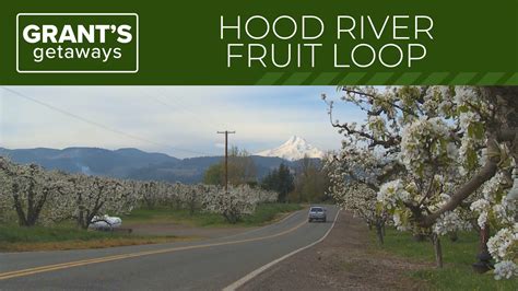 How to spend a day exploring Oregon's 'Fruit Loop' in Hood River | kgw.com