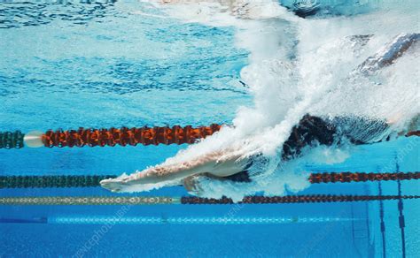 Image result for Diving into Pool