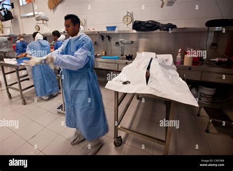 Forensic Autopsies 的图像结果