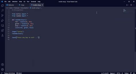 Image result for vs Code Run Code Displays Only Path