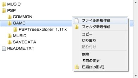 Image result for PS3 Image Explorer