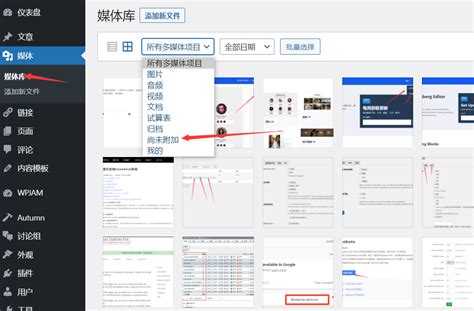 User Agent Python 的图像结果