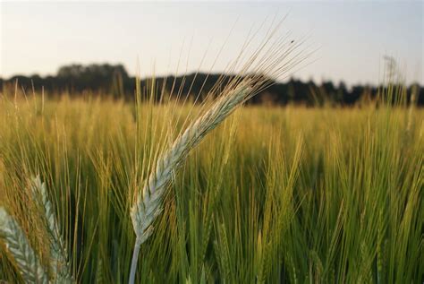 Integrated Life Tech Hub