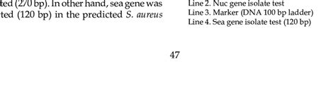 Image result for API Staph Test