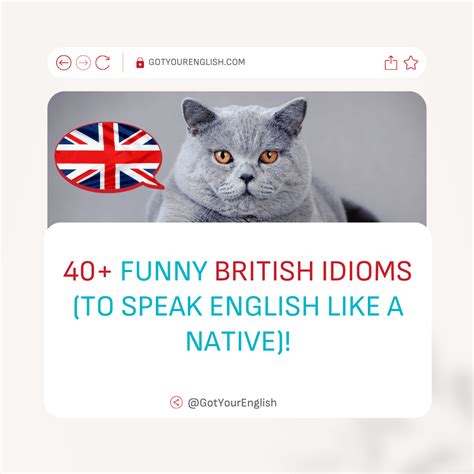 40+ Funny British Idioms (to Speak English Like a Native)! - Got Your ...