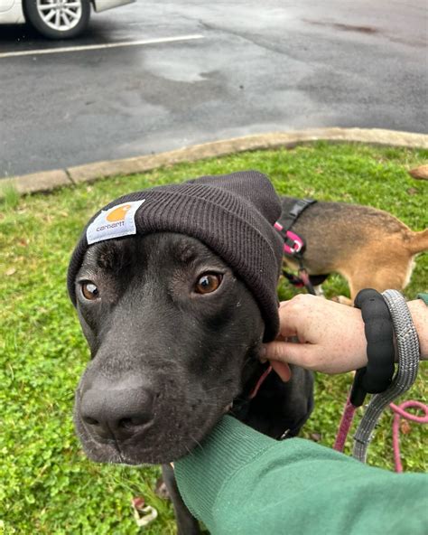 Kate Davis (@kateeeebabeee) • Instagram photos and videos