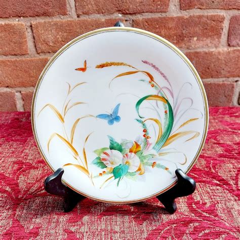 China Plates 的图像结果