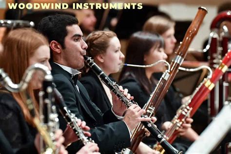 Image result for Woodwind Band Instruments