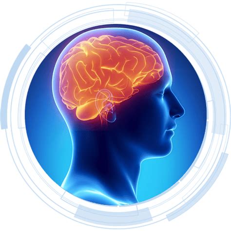 आपले शरीर- मेंदू - CPU of Human Body